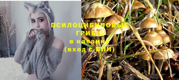 дистиллят марихуана Горняк