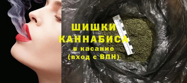 мет Лагань