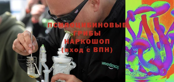 PSILOCYBIN Долгопрудный