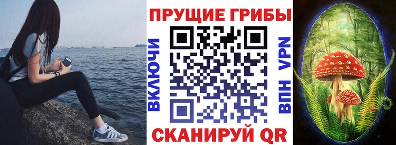 ссылка на мегу маркетплейс  Железногорск-Илимский  Псилоцибиновые грибы прущие грибы 